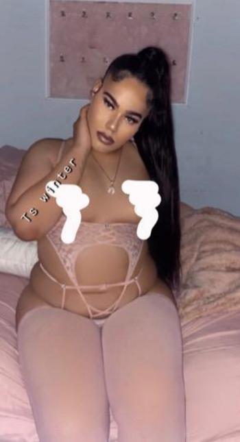 2038845446, transgender escort, Manhattan