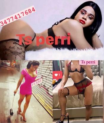 3477427684, transgender escort, Manhattan